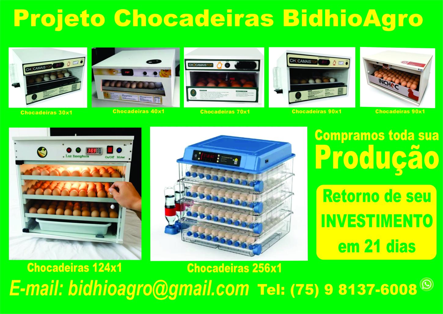 Chocadeiras Automáticas