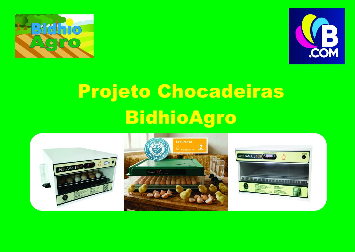 Projeto da BidhioAgro para Chocadeiras vai Beneficiar 20 Cidades no Reconcavo Baiano