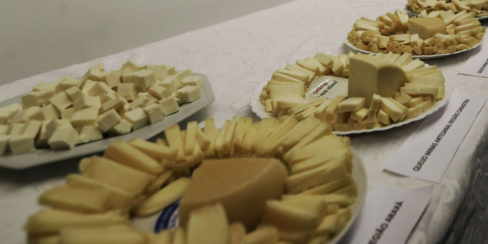 Brasil inicia importação de queijo com custos reduzidos após pacto Mercosul–UE