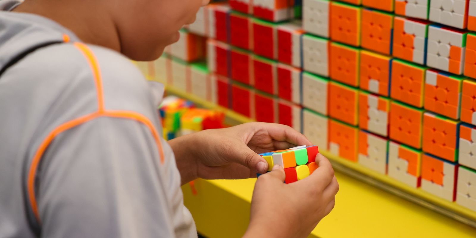 Inicia a primeira fase do Censo da Educação Básica 2026