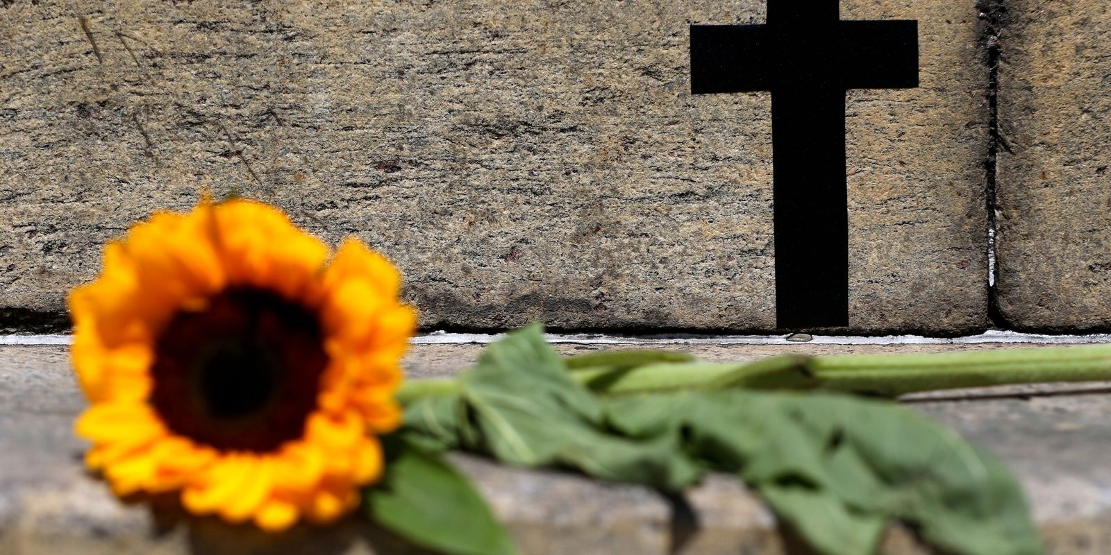 São Paulo registra alta de 41% nos feminicídios e 31,9% em violações de medidas protetivas