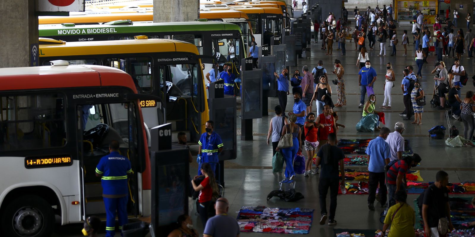 Transporte público gratuito pode ser novo Bolsa Família, aponta pesquisa