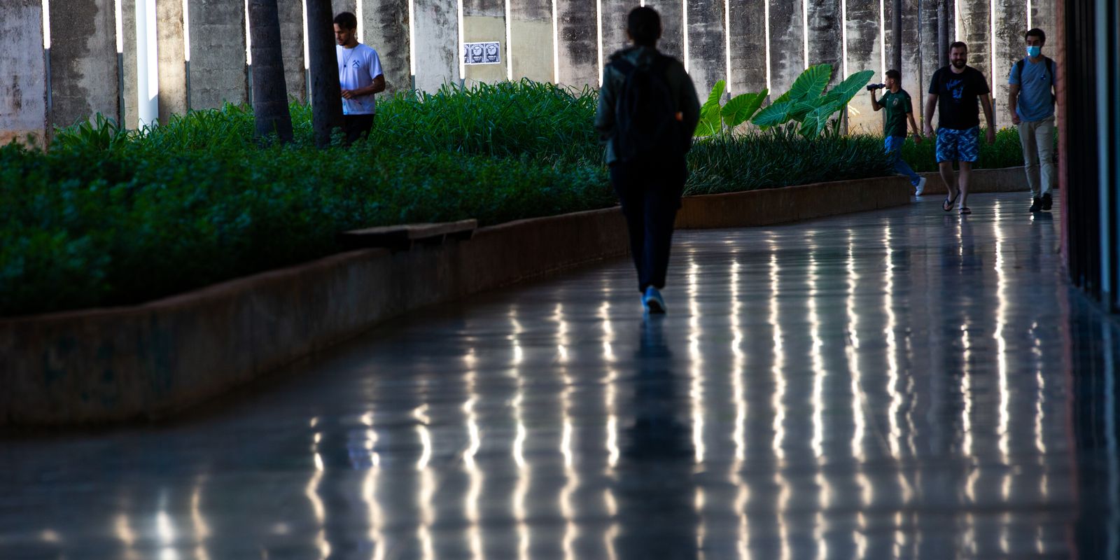 Prazo para pedir a implantação de Cuidoteca em universidades termina neste sábado