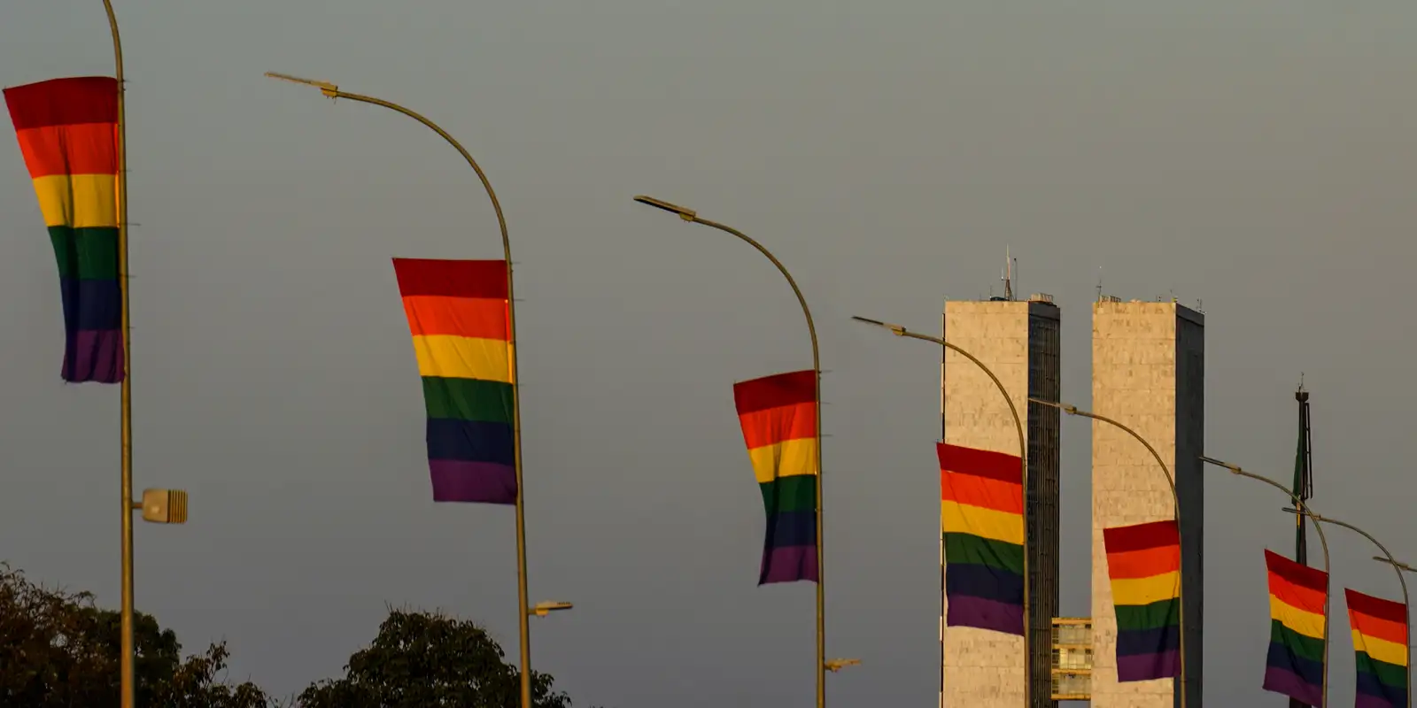 Candidaturas LGBT+ batem recorde e se diversificam entre partidos nas eleições de 2026