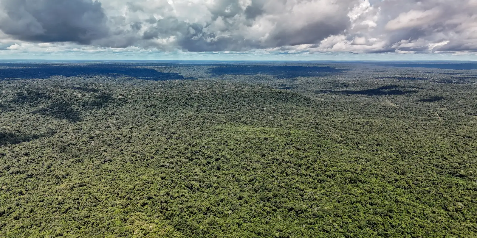 Fazenda aprova crédito de US$ 1 bilhão do BID para programa Eco Invest Brasil