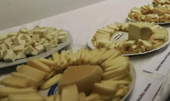 Brasil inicia importação de queijo com custos reduzidos após pacto Mercosul–UE