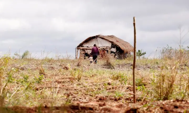 Queda nos assassinatos e alta de conflitos no campo são reveladas pela CPT