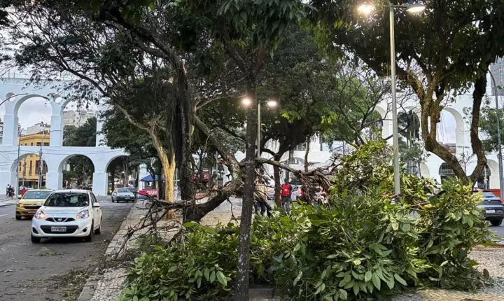 Especialistas avaliam se ventos fortes no Sudeste têm ligação com o fenômeno El Niño