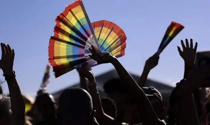 Rede nacional unificará conselhos de direitos LGBTQIA+