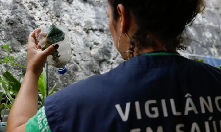 São Paulo registra mais de 58 mil casos de dengue e 42 mortes confirmadas em 2024