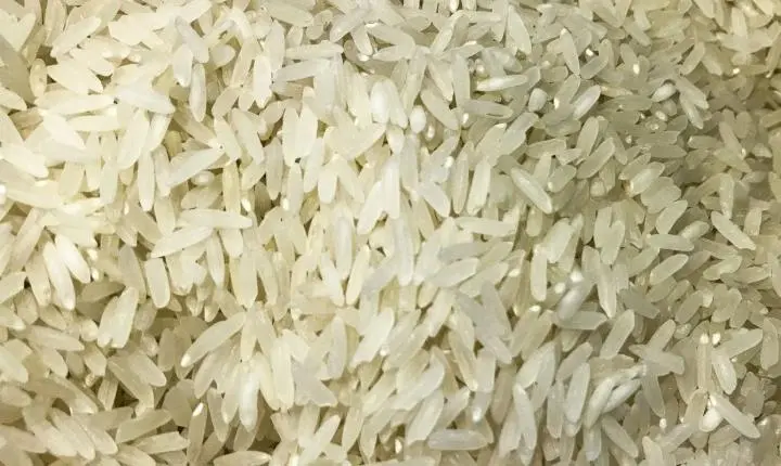Governo brasileiro anuncia doação de 10 toneladas de arroz para a Colômbia após sismo